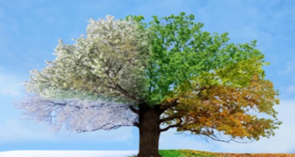 Il viraggio colore